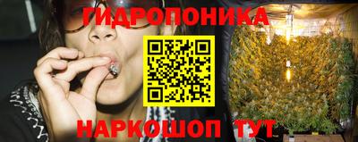 индика Севастополь