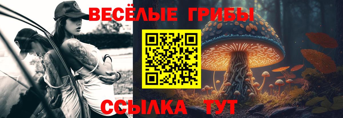 Галлюциногенные грибы прущие грибы  Вход с VPN  Полысаево 