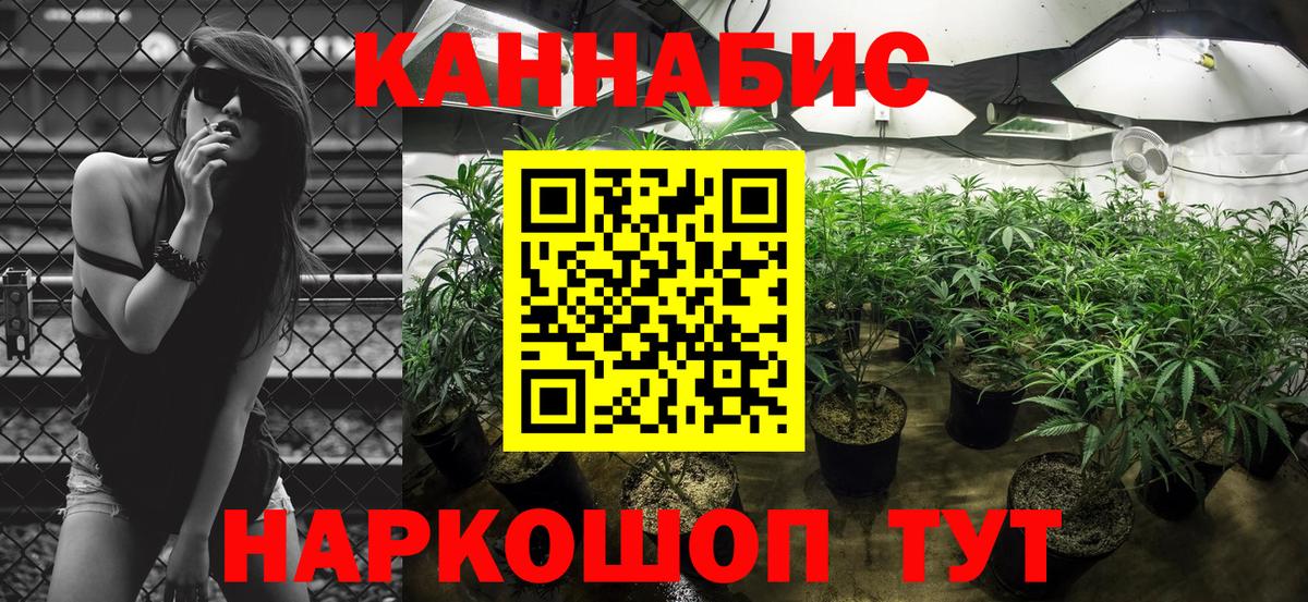 Бошки Шишки семена Полысаево